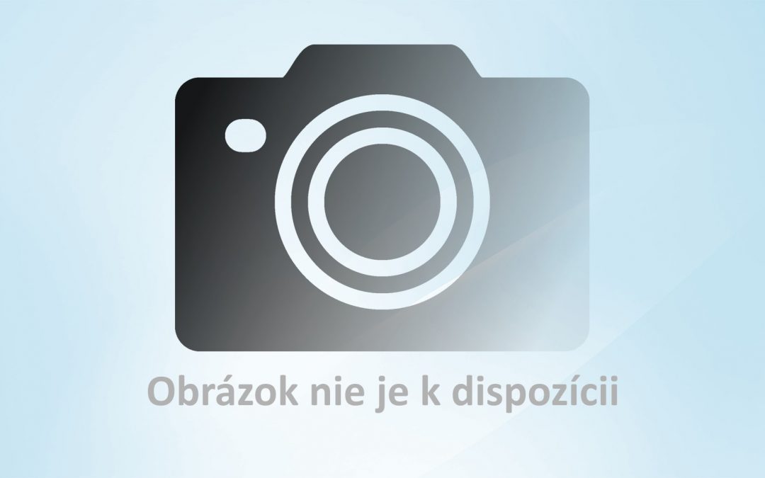 Predkolenná protéza modulárna